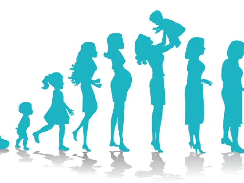 Illustration of a woman silhouette through the stages of life, from infant to grandmother, including pregnancy